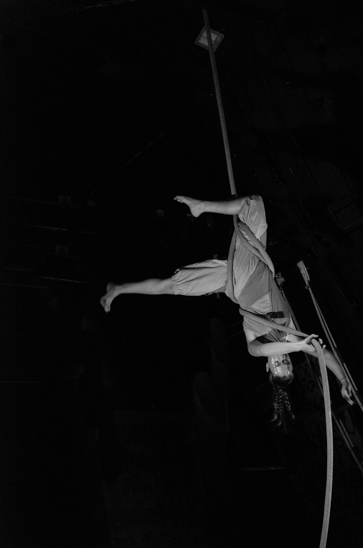 Circo