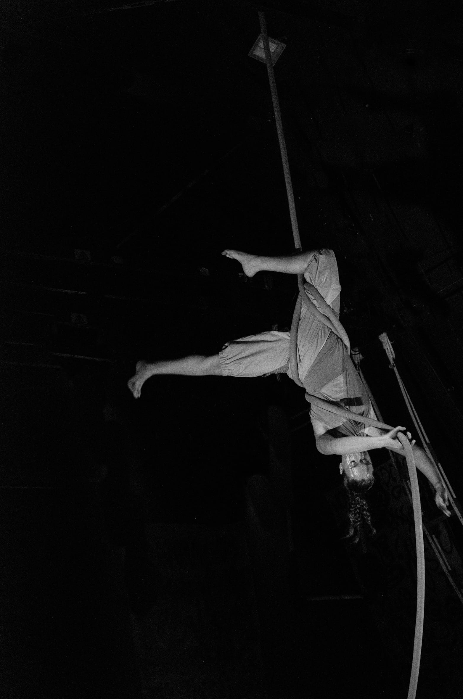 Circo
